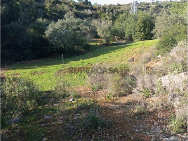Terreno venda em Faro