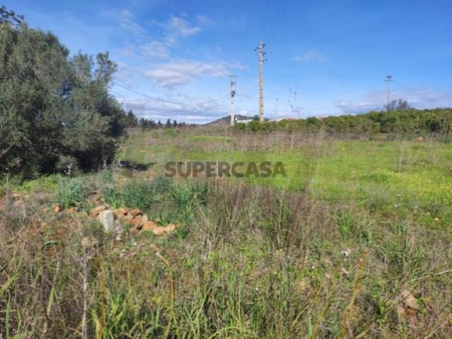 Terreno venda em São Bartolomeu De Messines, Faro