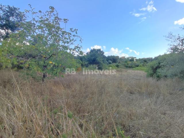 Terreno venda em Jamprestes, Rego Da Murta