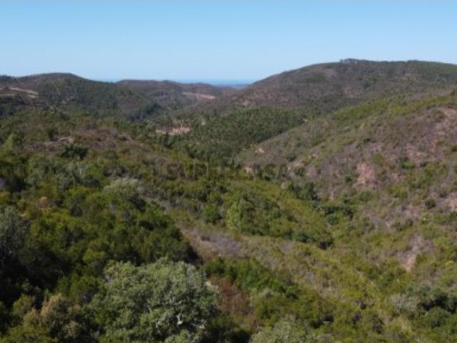 Terreno venda em Marmelete, Monchique