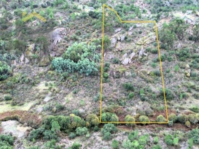 Terreno venda em Castelo Branco