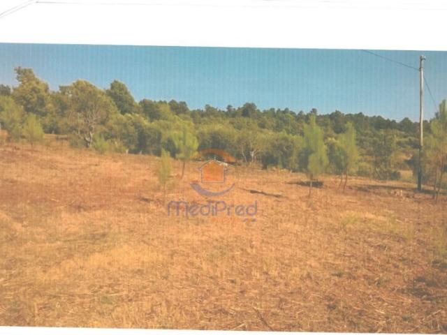 Terreno venda em Tábua, Coimbra