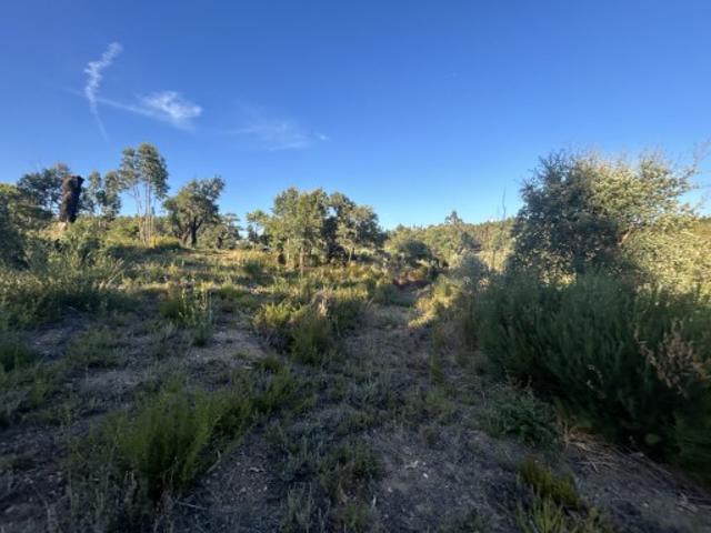Terreno venda em Tomar, Santarém