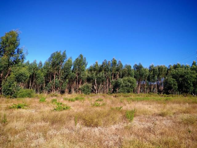 Terreno venda em Palmela, Setúbal