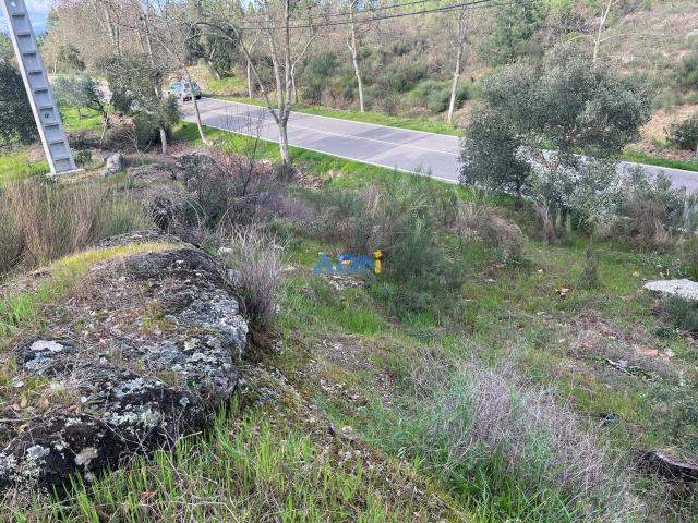 Terreno venda em Castelo Branco
