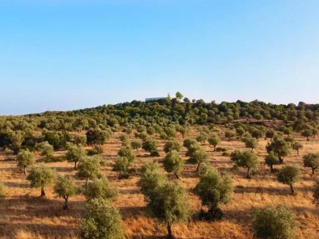Terreno venda em Estremoz, Évora