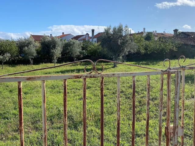 Terreno venda em Castelo Branco