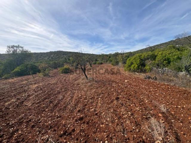 Terreno venda em Loulé (São Sebastião), Loulé