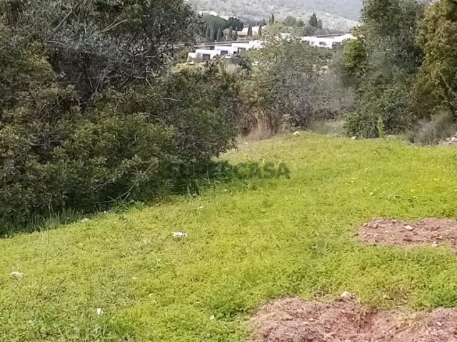 Terreno venda em Lagoa de Momprolé, Loulé
