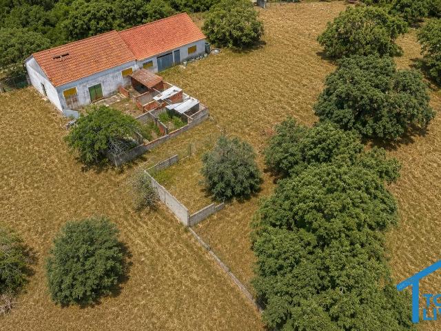 Terreno venda em Madalena e Beselga, Tomar
