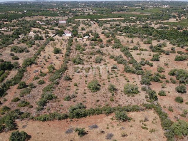 Terreno venda em São Bartolomeu De Messines, Faro