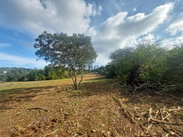 Terreno venda em Loulé, Faro