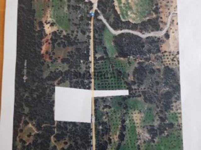 Terreno venda em Loulé, Faro