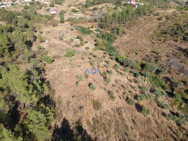 Terreno venda em Castelo Branco