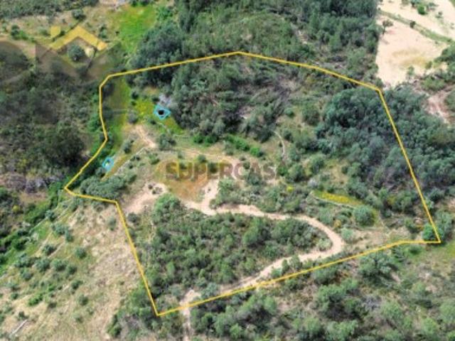 Terreno venda em Castelo Branco