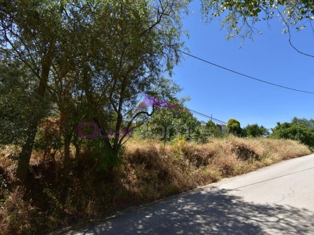 Terreno venda em Torres Novas, Santarém