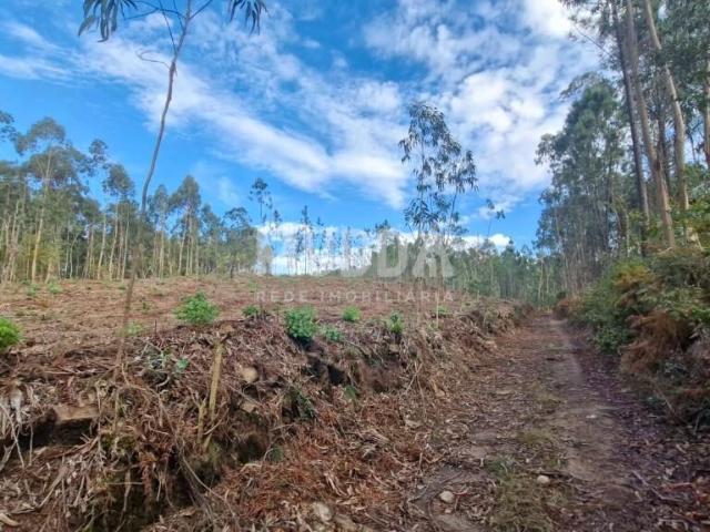 Terreno venda em Romariz, Santa Maria Da Feira