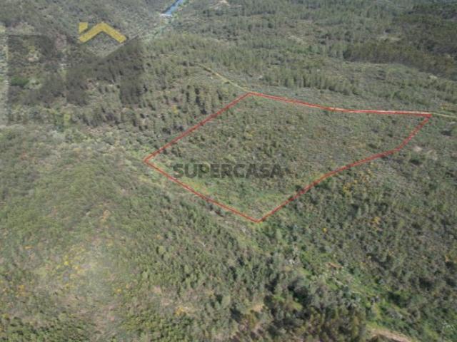 Terreno venda em Castelo Branco