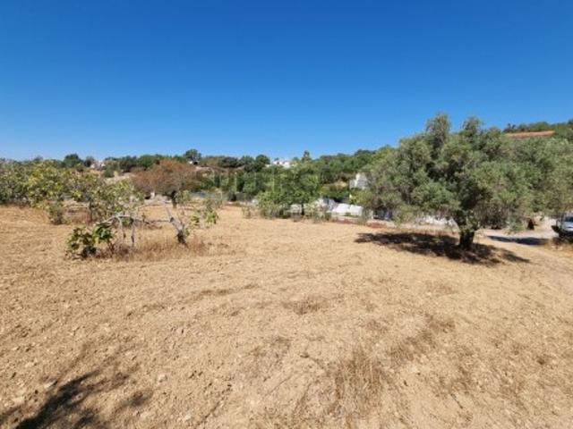 Terreno venda em Gorjões, Faro