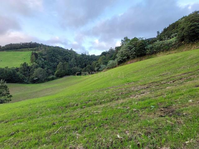 Terreno venda em Açores, Vila Franca Do Campo