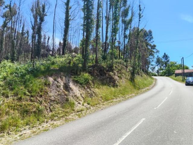 Terreno venda em Fafe, Braga