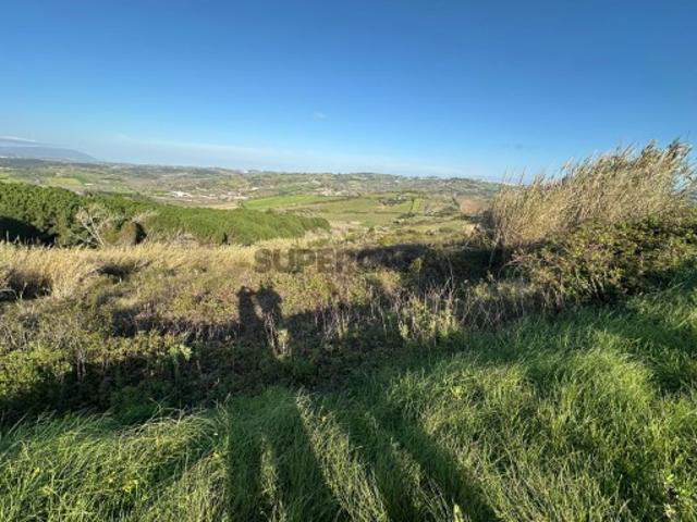 Terreno venda em Torres Vedras, Lisboa