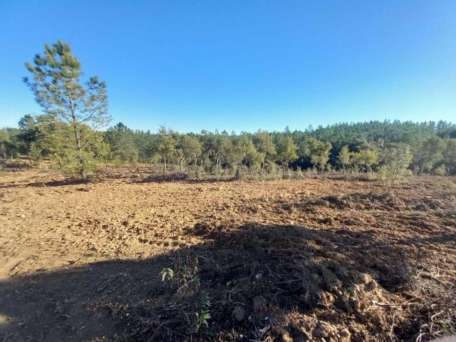 Terreno venda em Castelo Branco, Vila Velha De Ródão