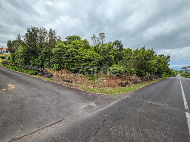 Terreno venda em Santo António, São Roque do Pico