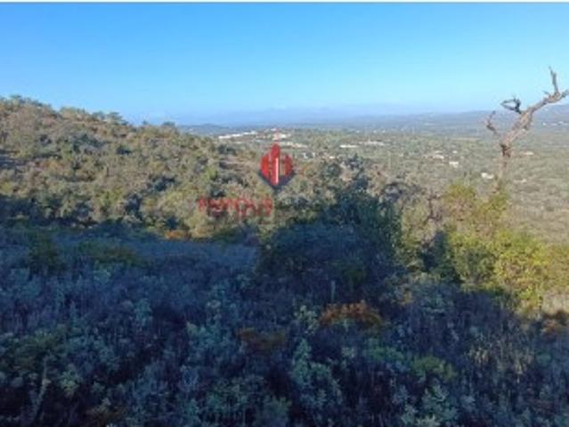 Terreno venda em Albufeira, Faro