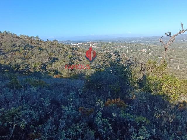 Terreno venda em Albufeira e Olhos de Água, Albufeira