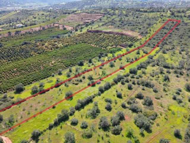 Terreno venda em Albufeira, Faro