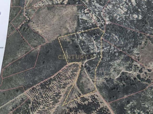 Terreno venda em Castelo Branco