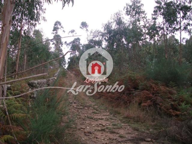 Terreno venda em Vila Do Conde, Porto
