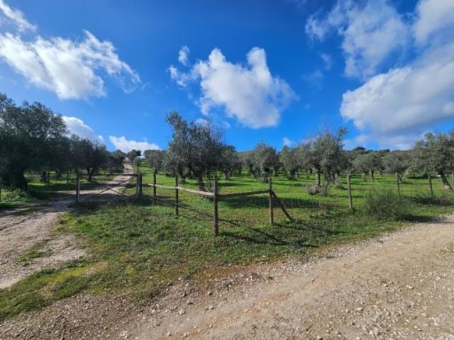 Terreno venda em Vila Viçosa, Évora