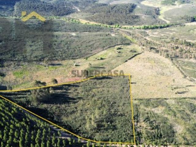 Terreno venda em Castelo Branco