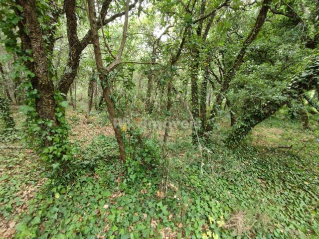 Terreno venda em Pegados, Rego Da Murta