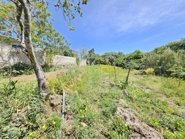 Terreno venda em Mafra, Lisboa