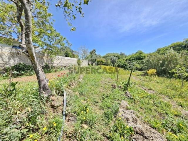 Terreno venda em Mafra, Lisboa