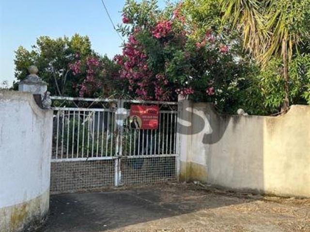 Terreno venda em Vidigueira, Beja