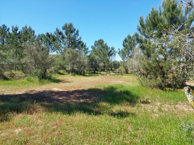 Terreno venda em Grândola, Setúbal