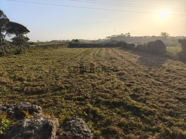 Terreno venda em Bolelas, Sintra