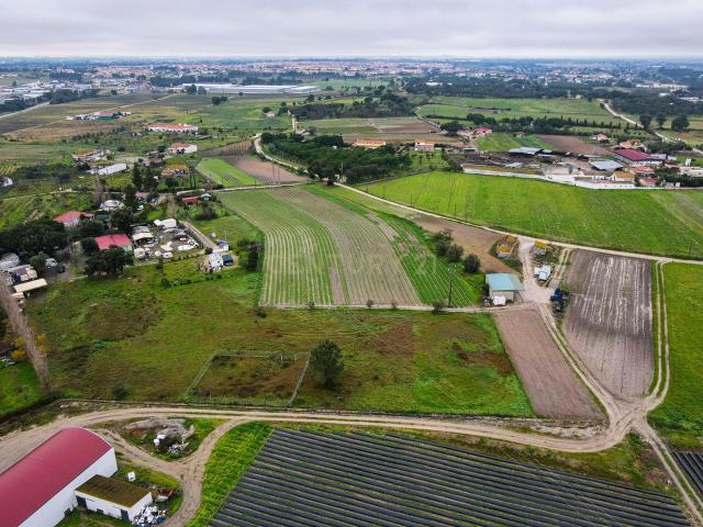Terreno venda em Vale de Marmelos, Palmela