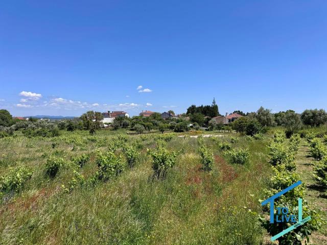 Terreno venda em Colégio Nuno Álvares, Tomar