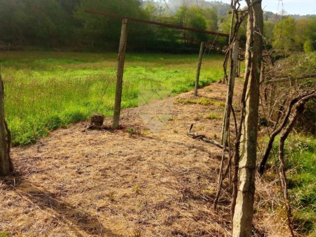 Terreno venda em Anho Bom, Marecos