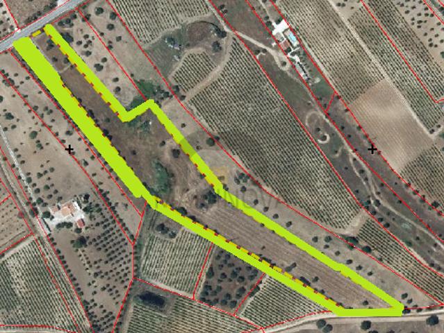 Terreno venda em Reguengos De Monsaraz, Évora