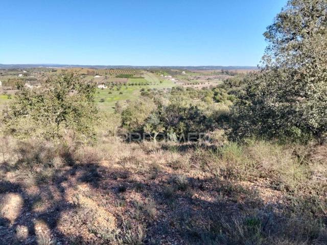 Terreno venda em Ferreira, Capelins (Santo António)