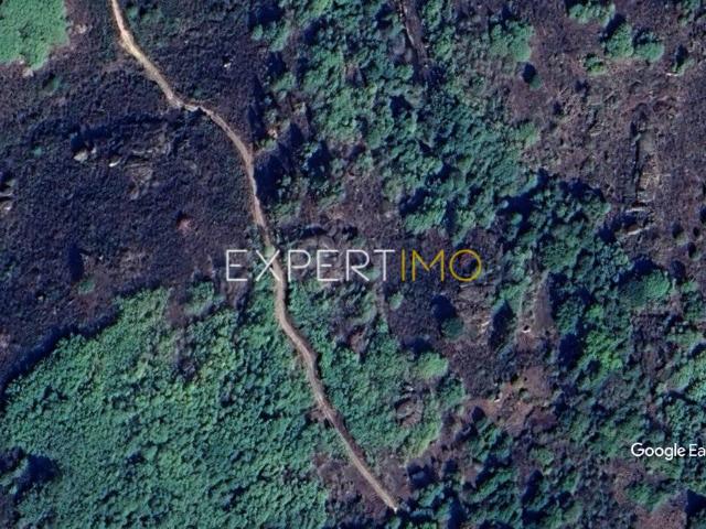 Terreno venda em Guarda, São Julião