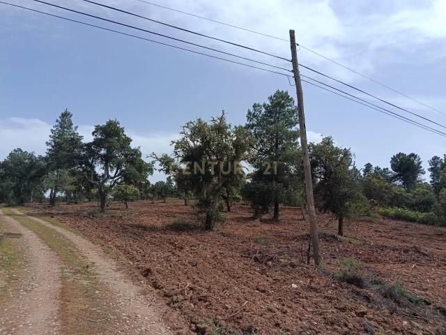 Terreno venda em Castelo Branco, Idanha-a-nova