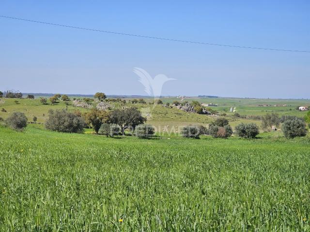 Terreno venda em Castro Verde, Beja