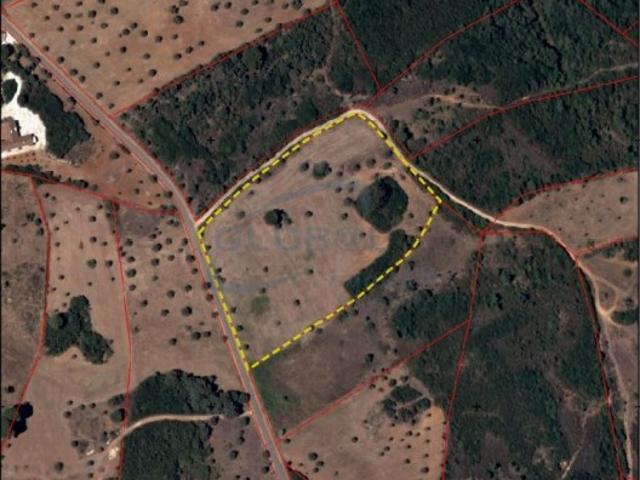 Terreno venda em Casal do Paul, Santarém